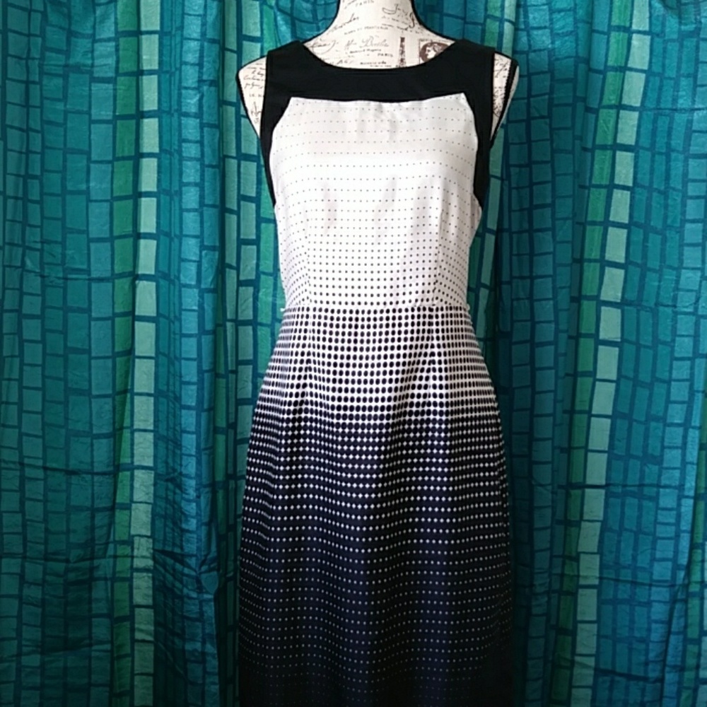 The Limited Dress. In Perfect Condition!